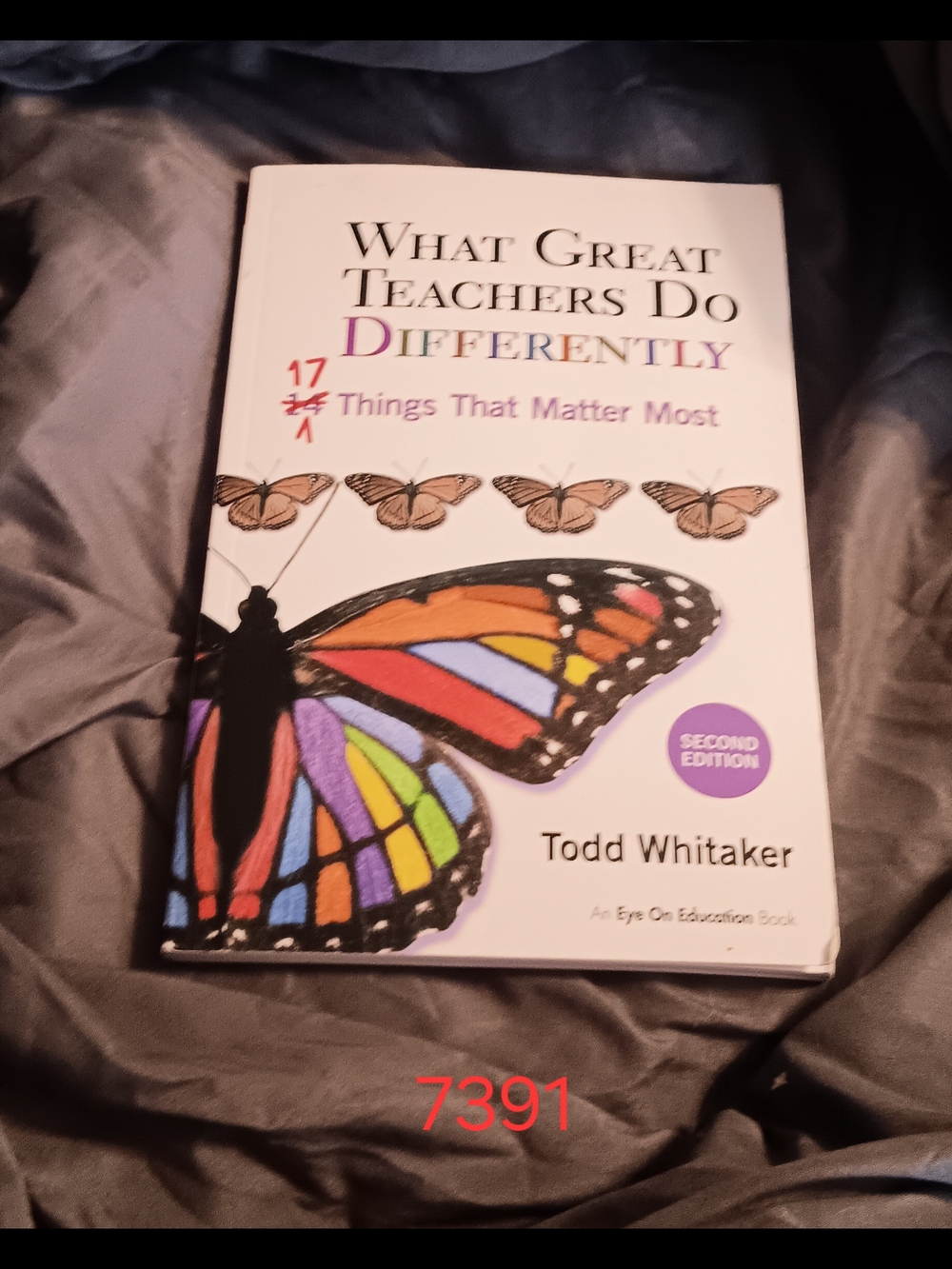What Great Teachers Do Differently
